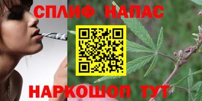 МДПВ Краснодар