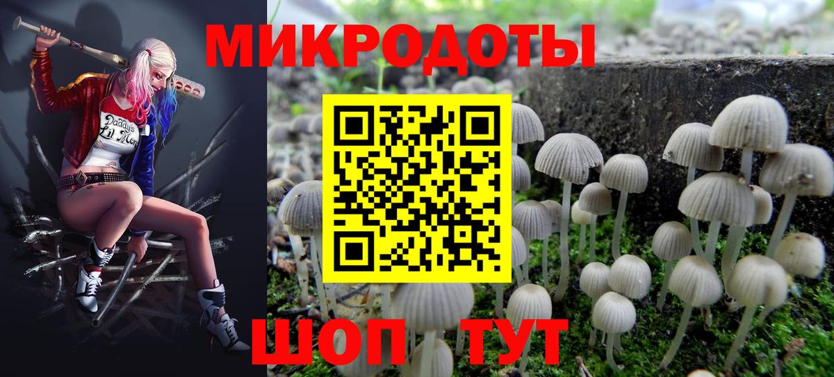 Псилоцибиновые грибы MAGIC MUSHROOMS  Вход с VPN  Еманжелинск 